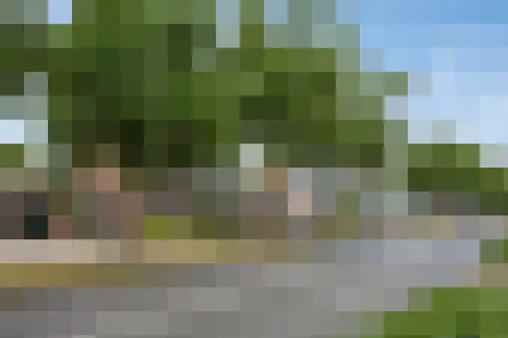 De Monding 9 Veenendaal thumbnail 58