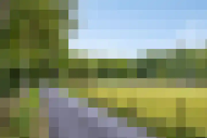 De Monding 9 Veenendaal thumbnail 59