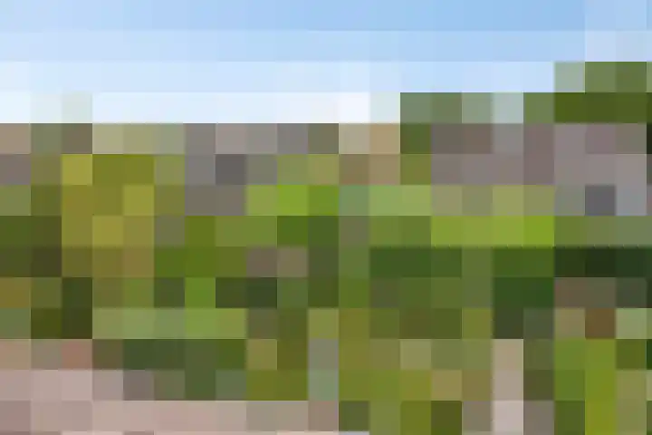 De Monding 9 Veenendaal thumbnail 6