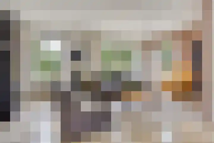 De Monding 9 Veenendaal thumbnail 8