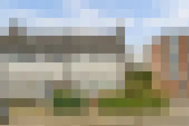 De Montelaan 11 Dieren