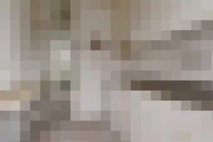 De Montelaan 11 Dieren thumbnail 11