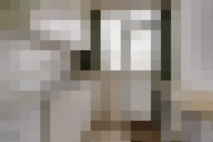 De Montelaan 11 Dieren thumbnail 12