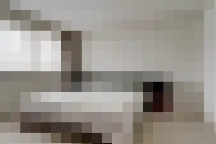 De Montelaan 11 Dieren thumbnail 15