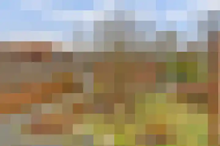 De Montelaan 11 Dieren thumbnail 25