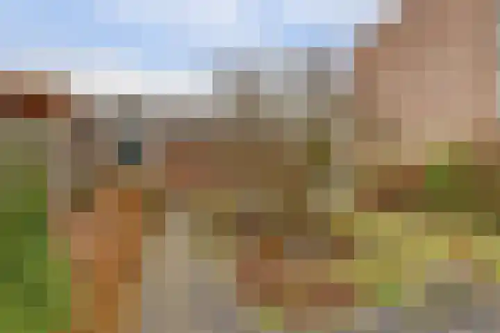 De Montelaan 11 Dieren thumbnail 26