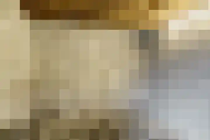 De Montelaan 11 Dieren thumbnail 28
