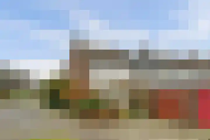 De Montelaan 11 Dieren thumbnail 29