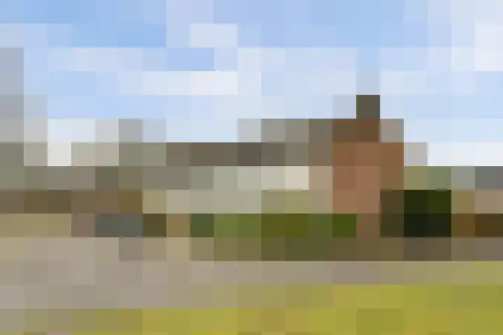 De Montelaan 11 Dieren thumbnail 31