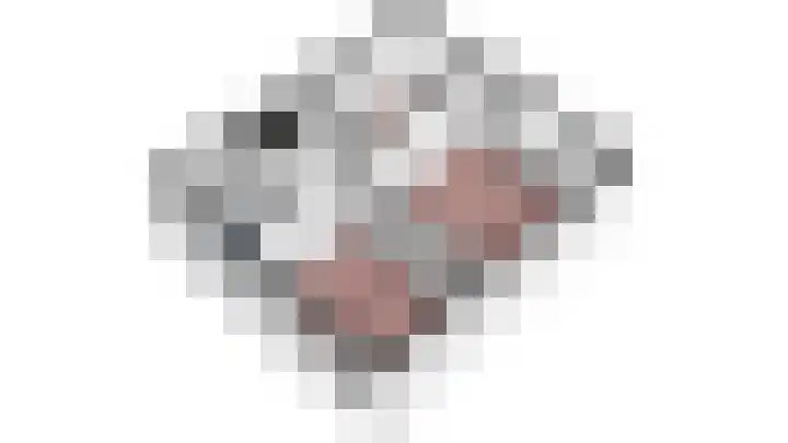 De Montelaan 11 Dieren thumbnail 36