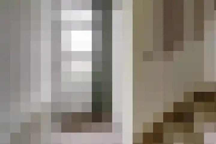 De Montelaan 11 Dieren thumbnail 4