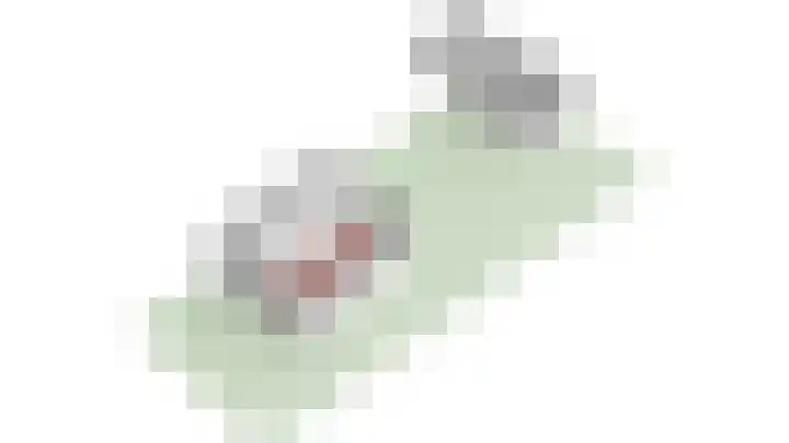 De Montelaan 11 Dieren thumbnail 40