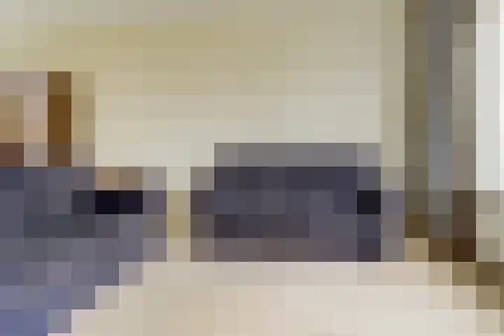 De Montelaan 11 Dieren thumbnail 8