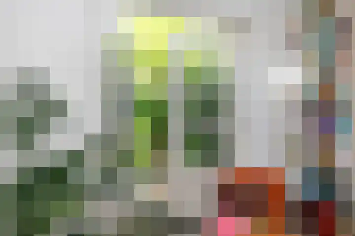 De Montignylaan 4 Schoonhoven thumbnail 11