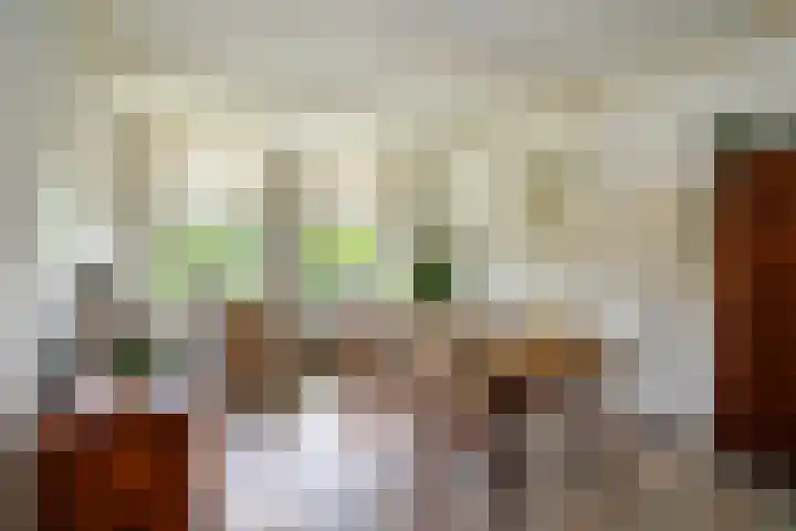 De Montignylaan 4 Schoonhoven thumbnail 14