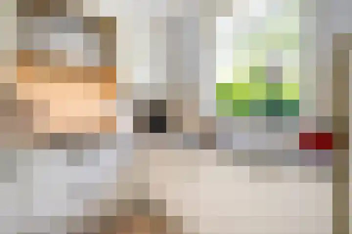 De Montignylaan 4 Schoonhoven thumbnail 16