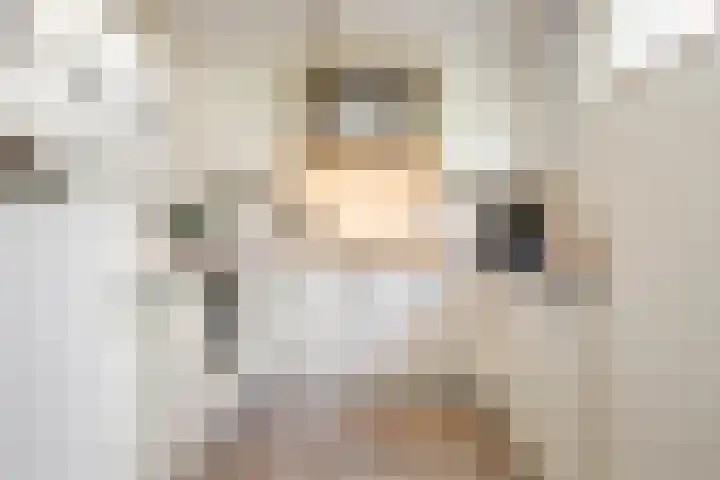 De Montignylaan 4 Schoonhoven thumbnail 17