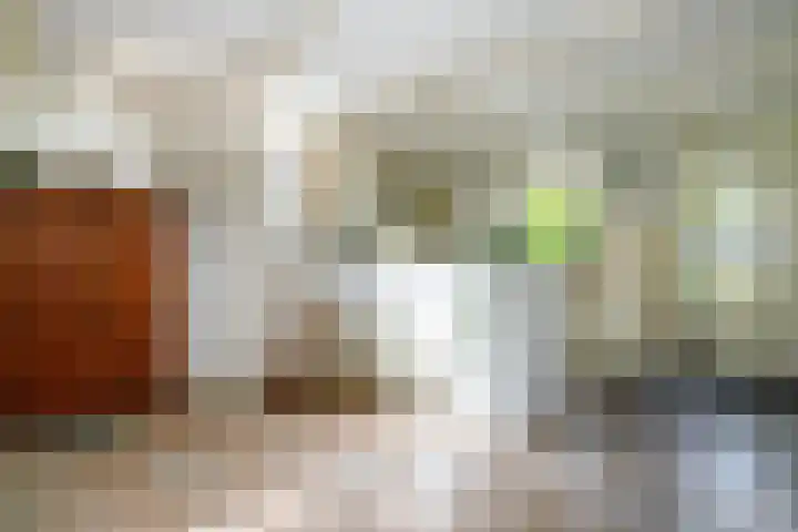De Montignylaan 4 Schoonhoven thumbnail 18