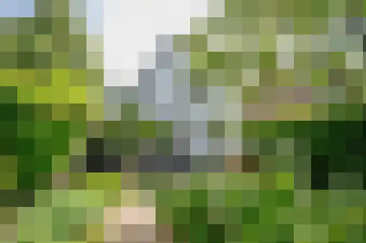De Montignylaan 4 Schoonhoven thumbnail 28