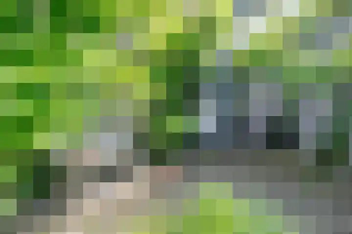 De Montignylaan 4 Schoonhoven thumbnail 29