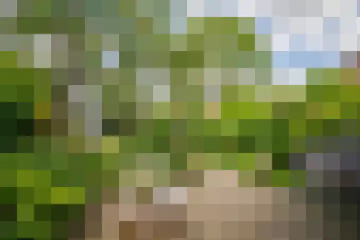 De Montignylaan 4 Schoonhoven thumbnail 30