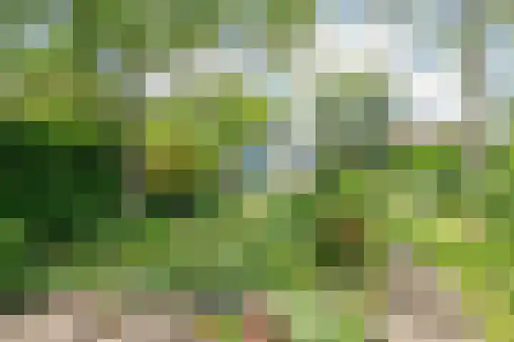 De Montignylaan 4 Schoonhoven thumbnail 31