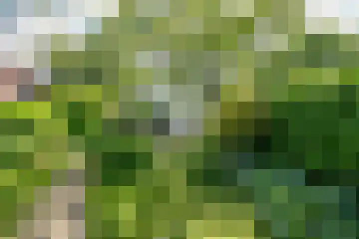 De Montignylaan 4 Schoonhoven thumbnail 33