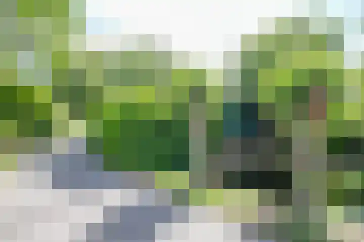 De Montignylaan 4 Schoonhoven thumbnail 35
