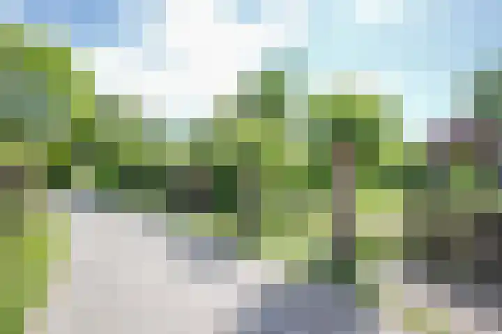 De Montignylaan 4 Schoonhoven thumbnail 36