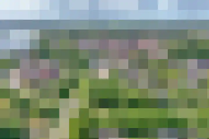 De Montignylaan 4 Schoonhoven thumbnail 37