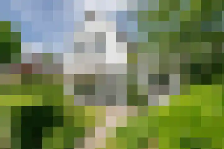 De Montignylaan 4 Schoonhoven thumbnail 42