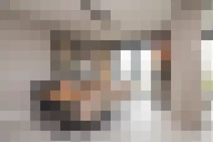 De Mook 66 Noordwijk thumbnail 10