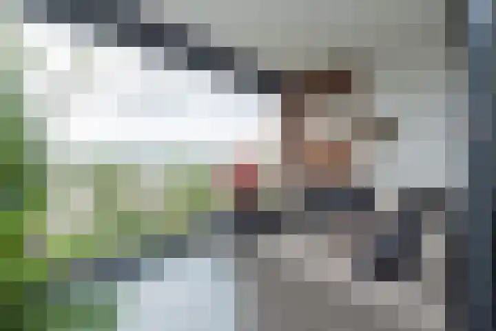 De Mook 66 Noordwijk thumbnail 12