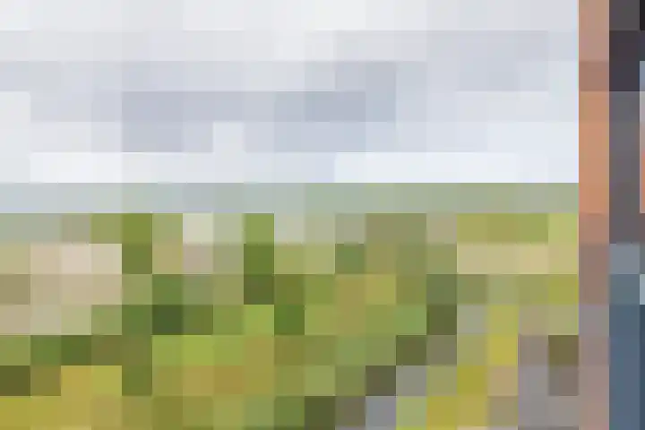 De Mook 66 Noordwijk thumbnail 14