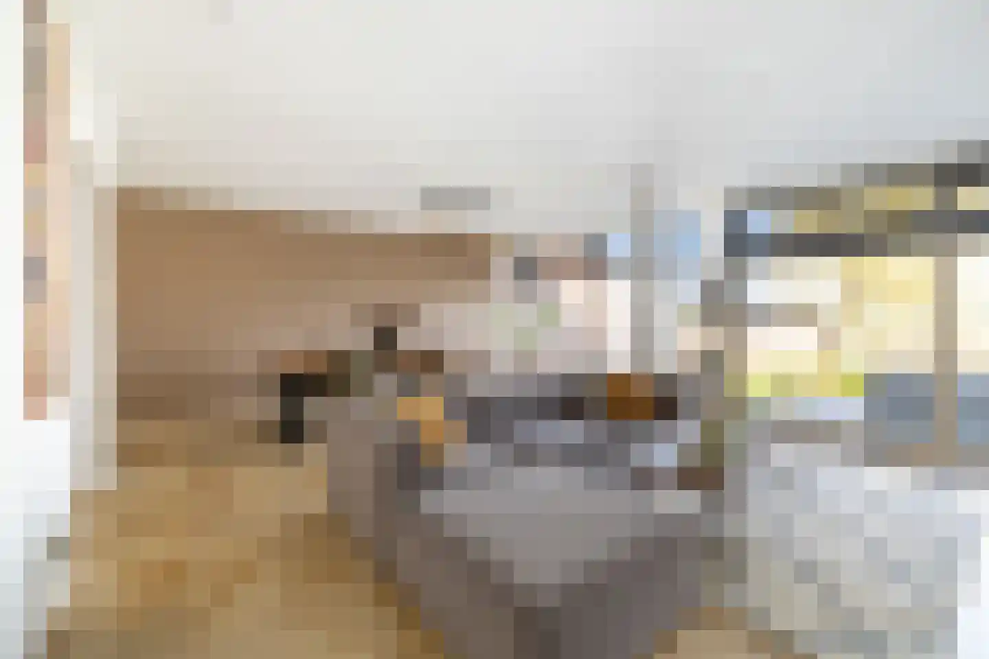 De Moor 30 West-Graftdijk thumbnail 4