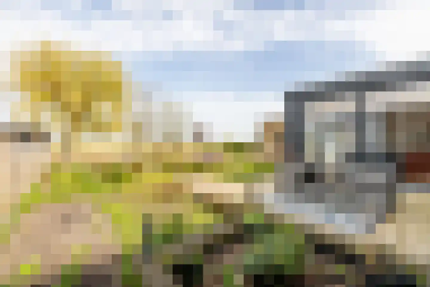 De Moor 30 West-Graftdijk thumbnail 42