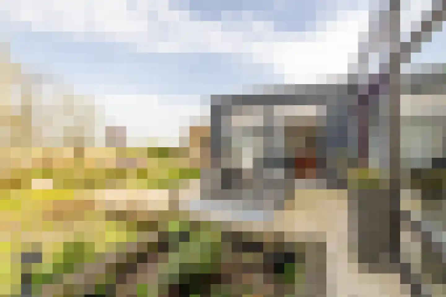 De Moor 30 West-Graftdijk thumbnail 43