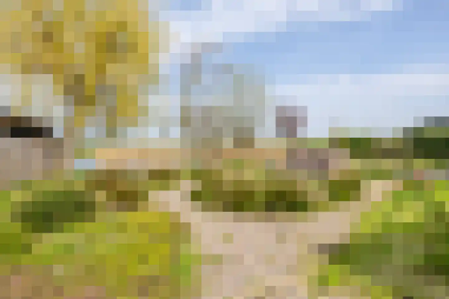 De Moor 30 West-Graftdijk thumbnail 44