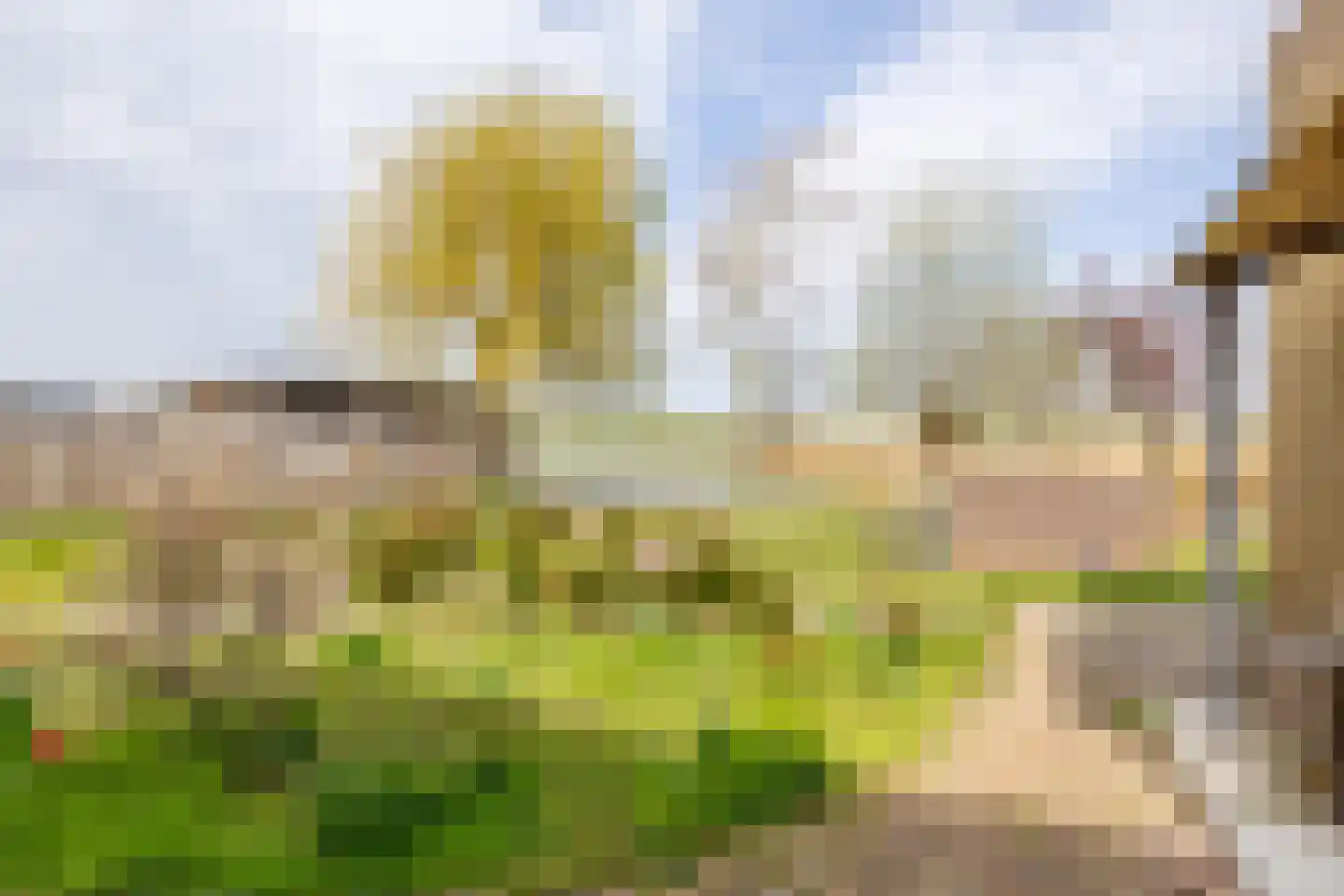 De Moor 30 West-Graftdijk thumbnail 45