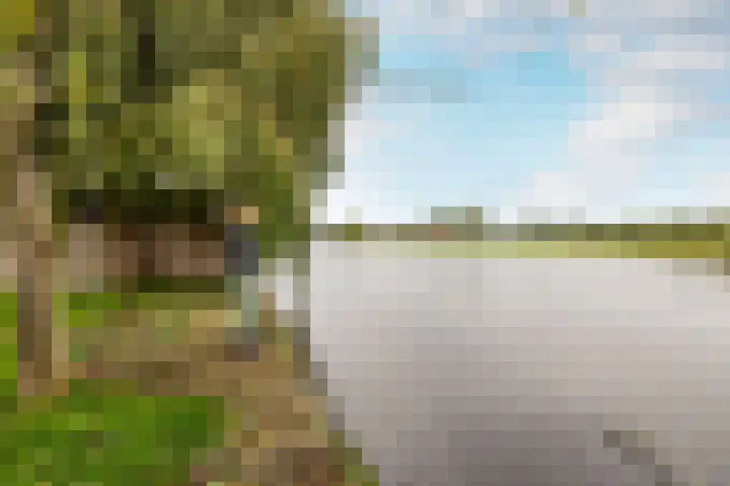 De Moor 30 West-Graftdijk thumbnail 46