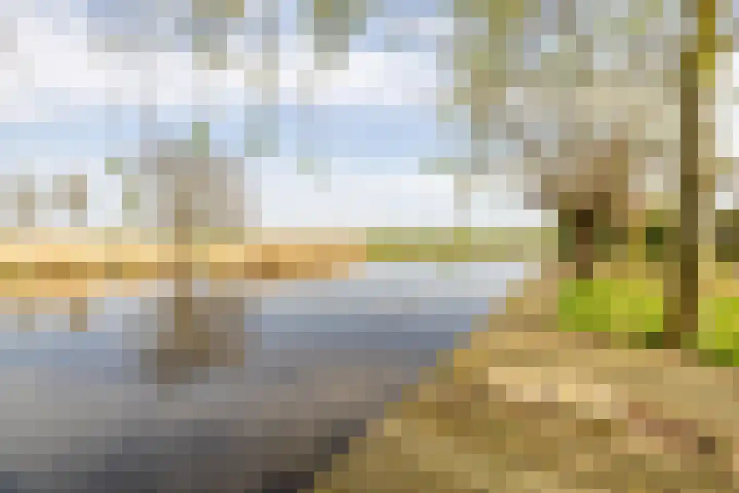 De Moor 30 West-Graftdijk thumbnail 48