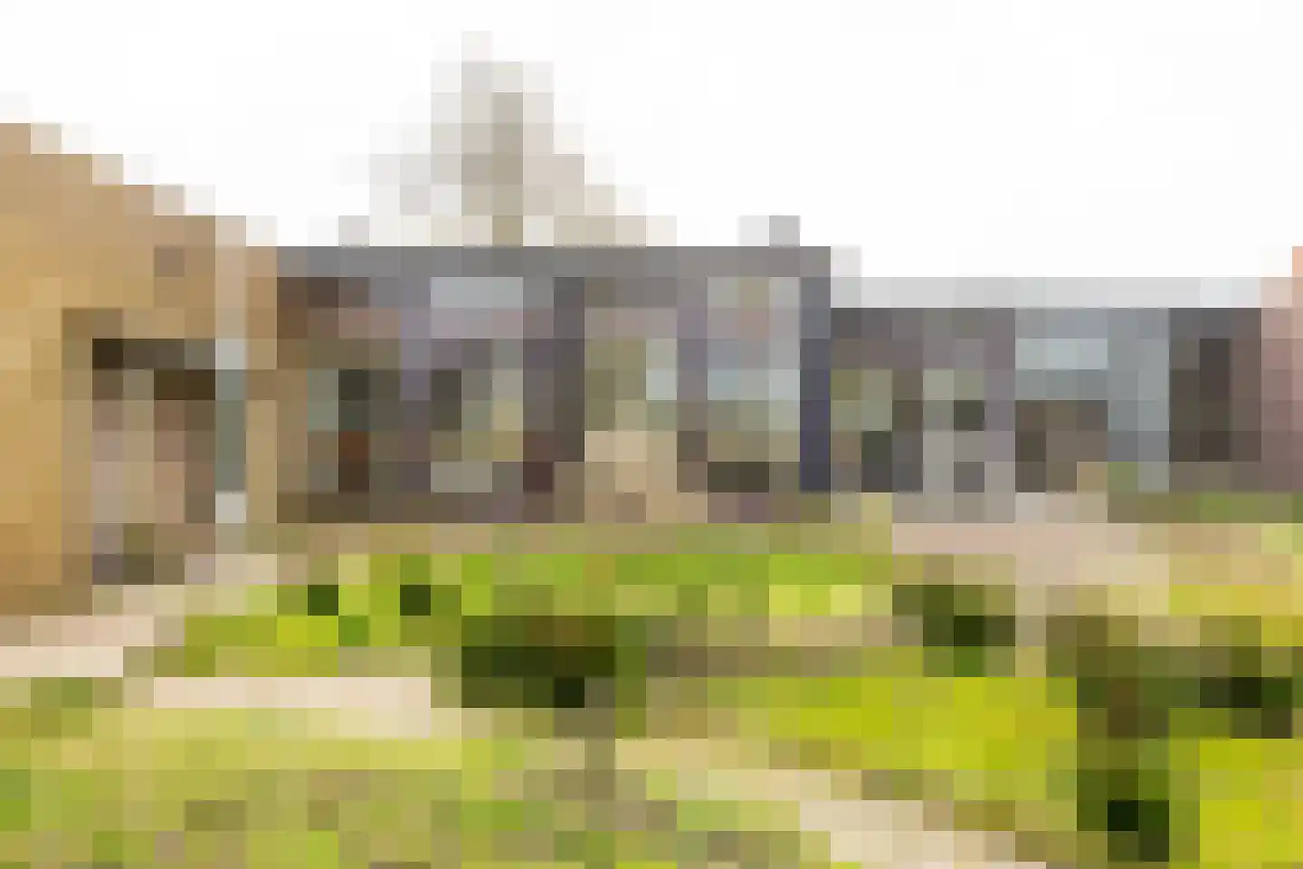 De Moor 30 West-Graftdijk thumbnail 49