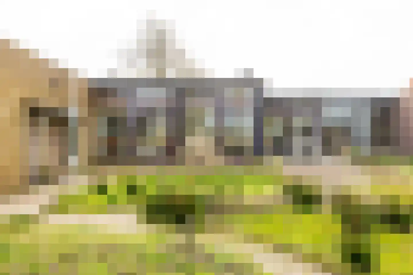 De Moor 30 West-Graftdijk thumbnail 49