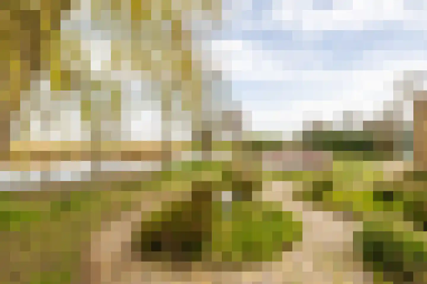 De Moor 30 West-Graftdijk thumbnail 50