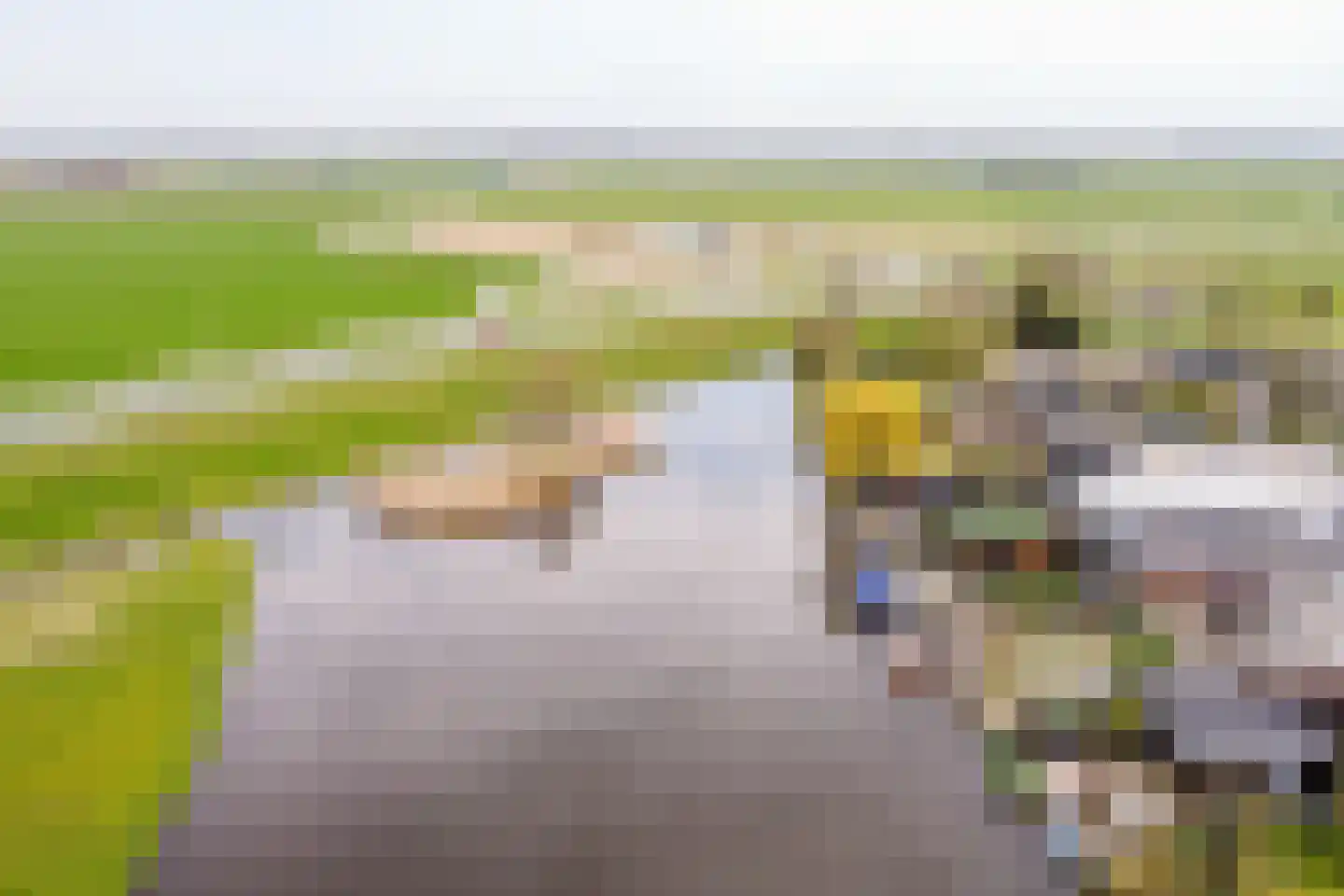 De Moor 30 West-Graftdijk thumbnail 53