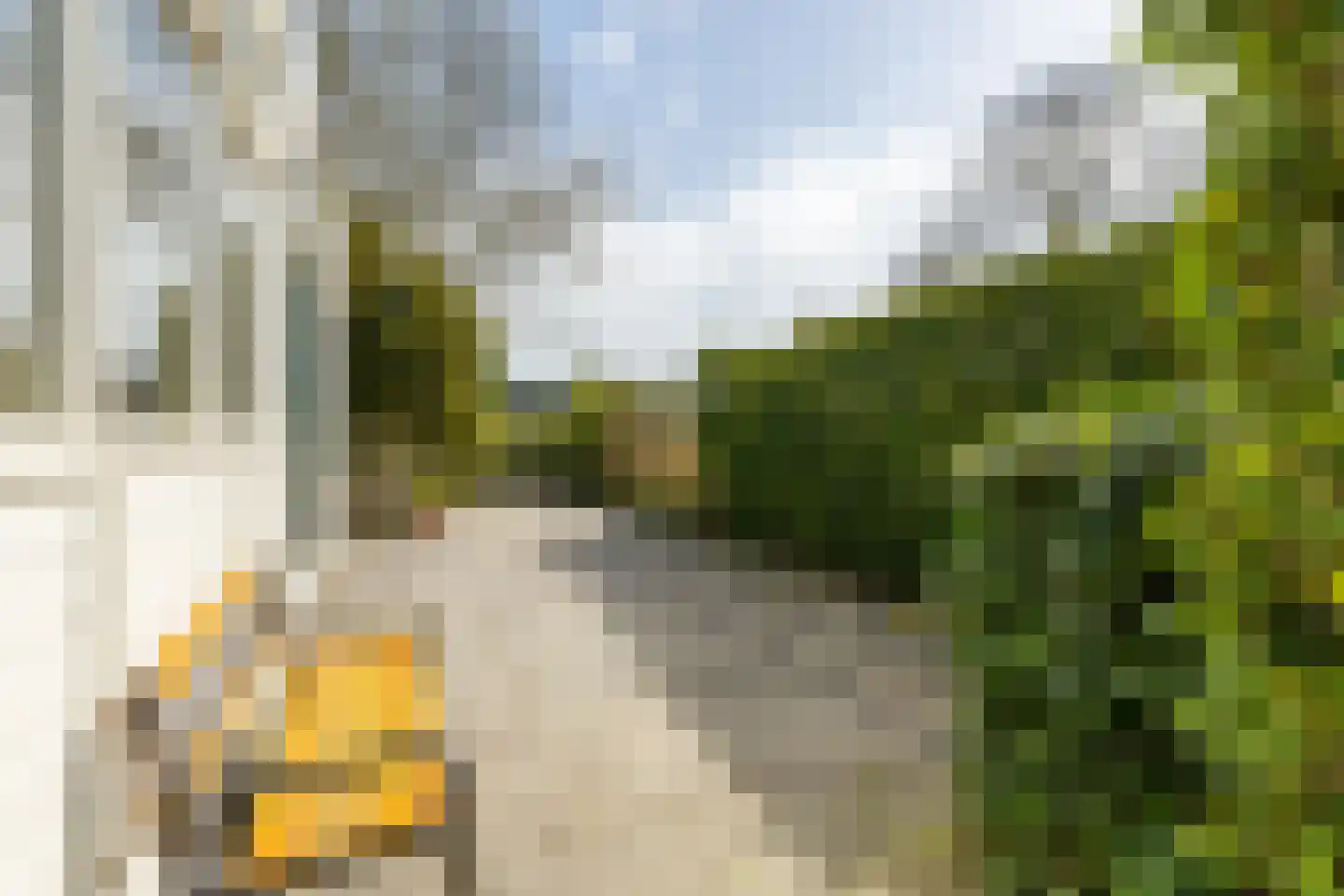 De Moor 30 West-Graftdijk thumbnail 7