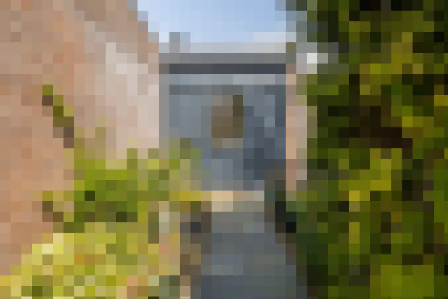 De Moor 30 West-Graftdijk thumbnail 8