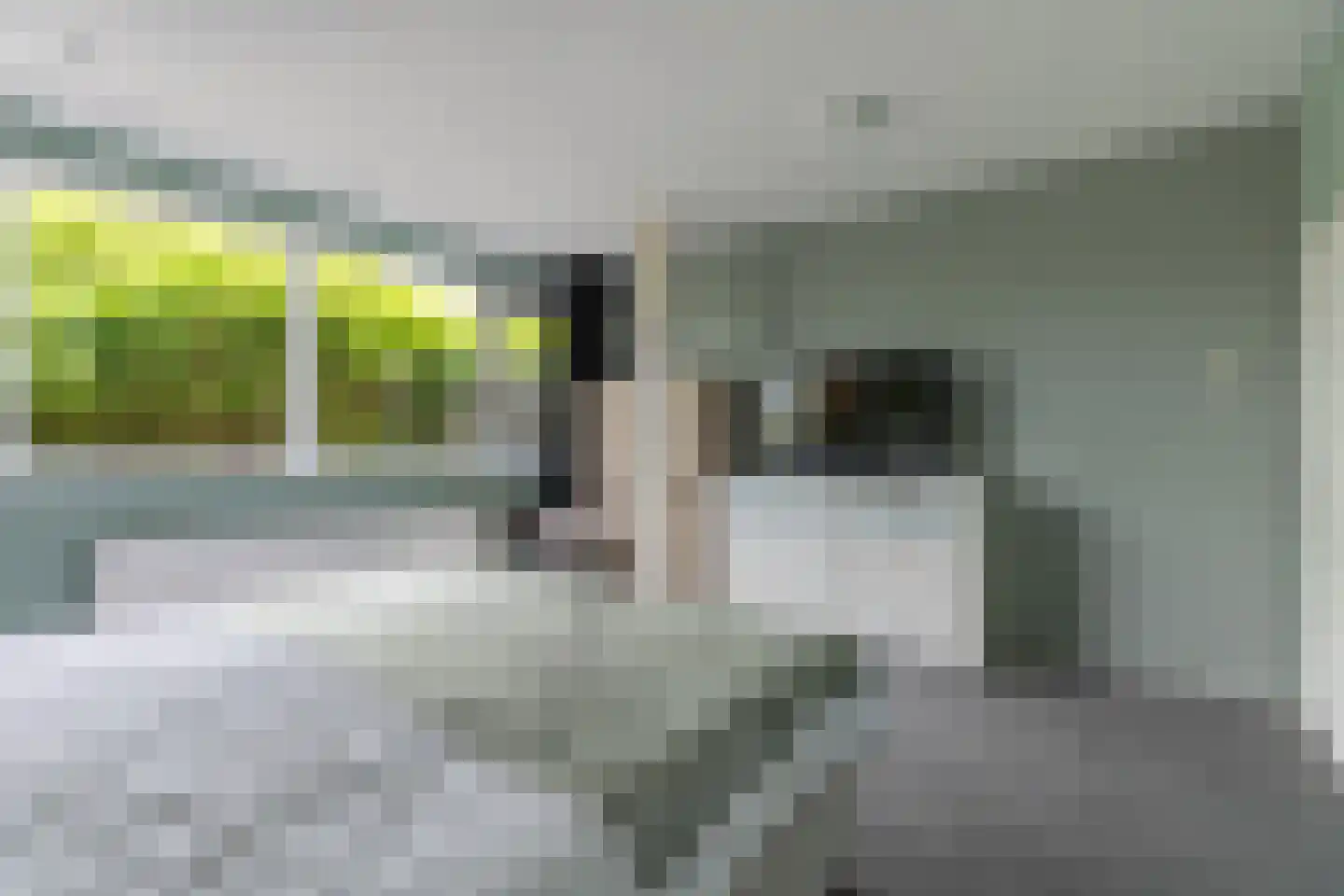 De Moor 5 West-Graftdijk thumbnail 26