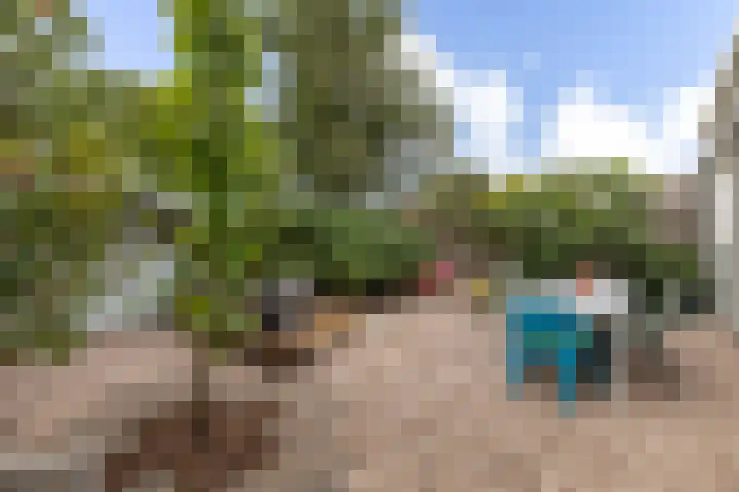 De Moor 5 West-Graftdijk thumbnail 42