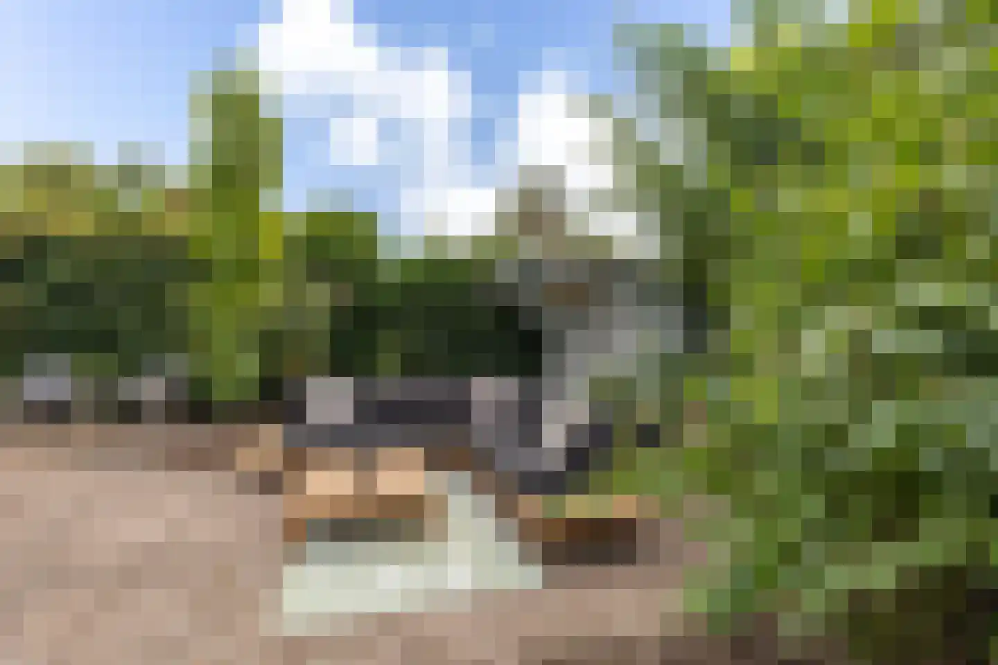 De Moor 5 West-Graftdijk thumbnail 45